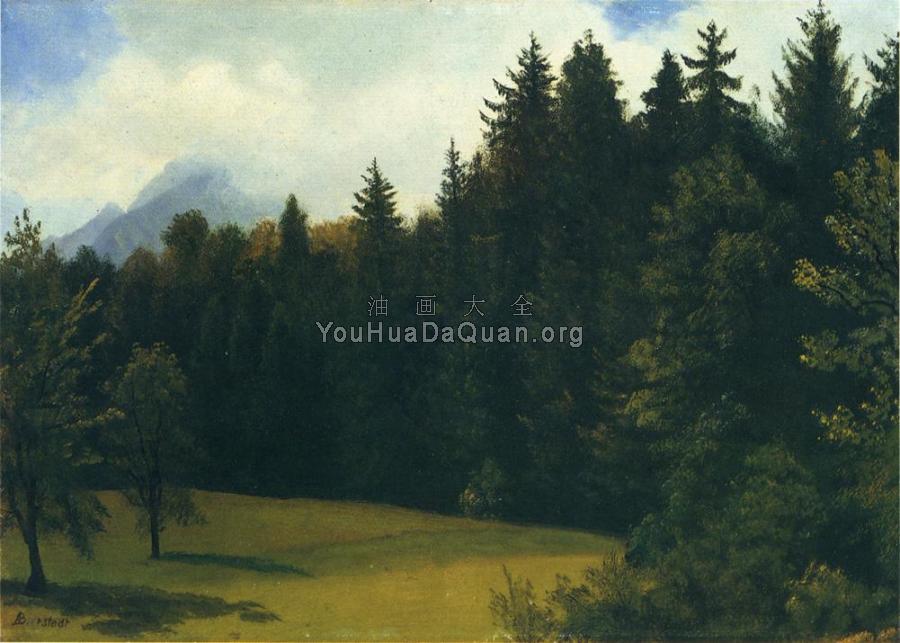 Mountain Resort - 阿尔伯特·比尔施塔特